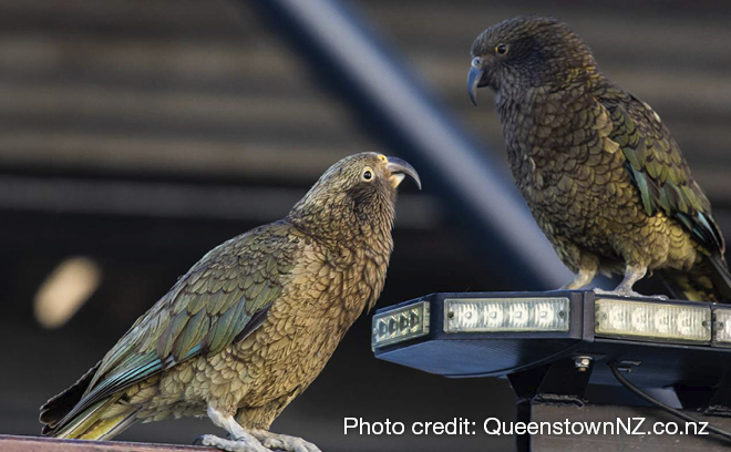QLDC_Climate Website_Page Image_Update_660 x 408_Aug26_KEA.jpg