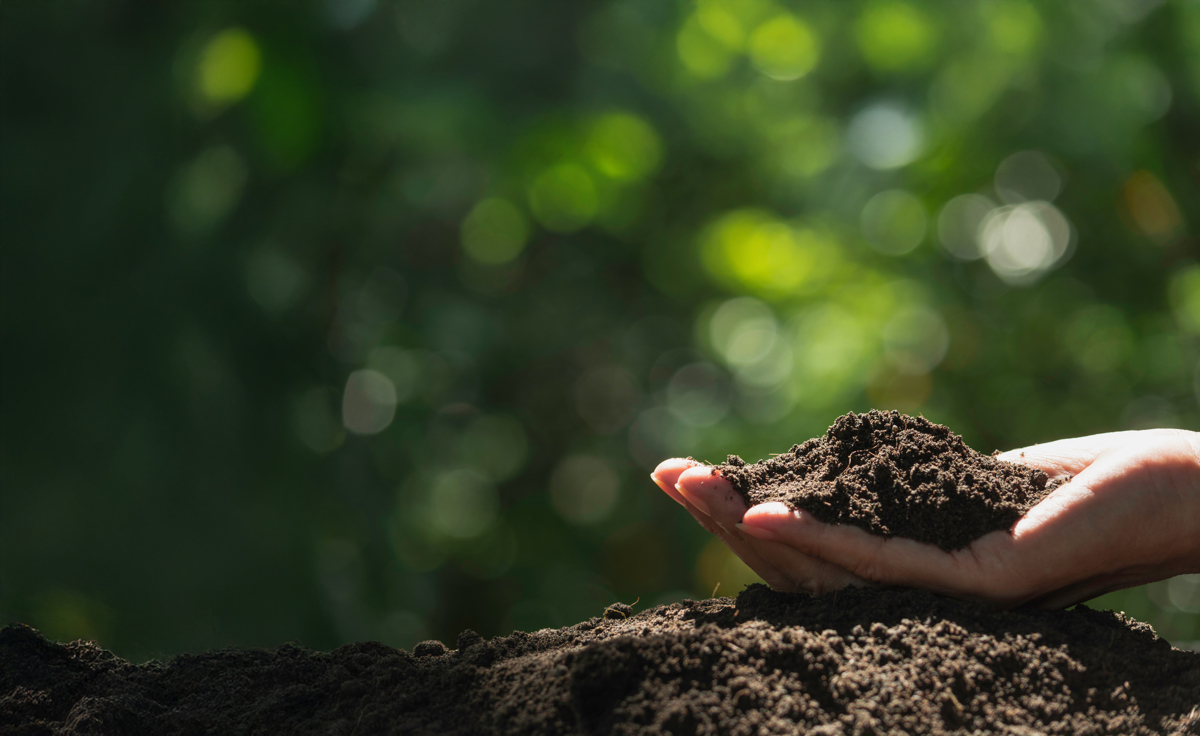 Adobestock 268167135 Ext (1)