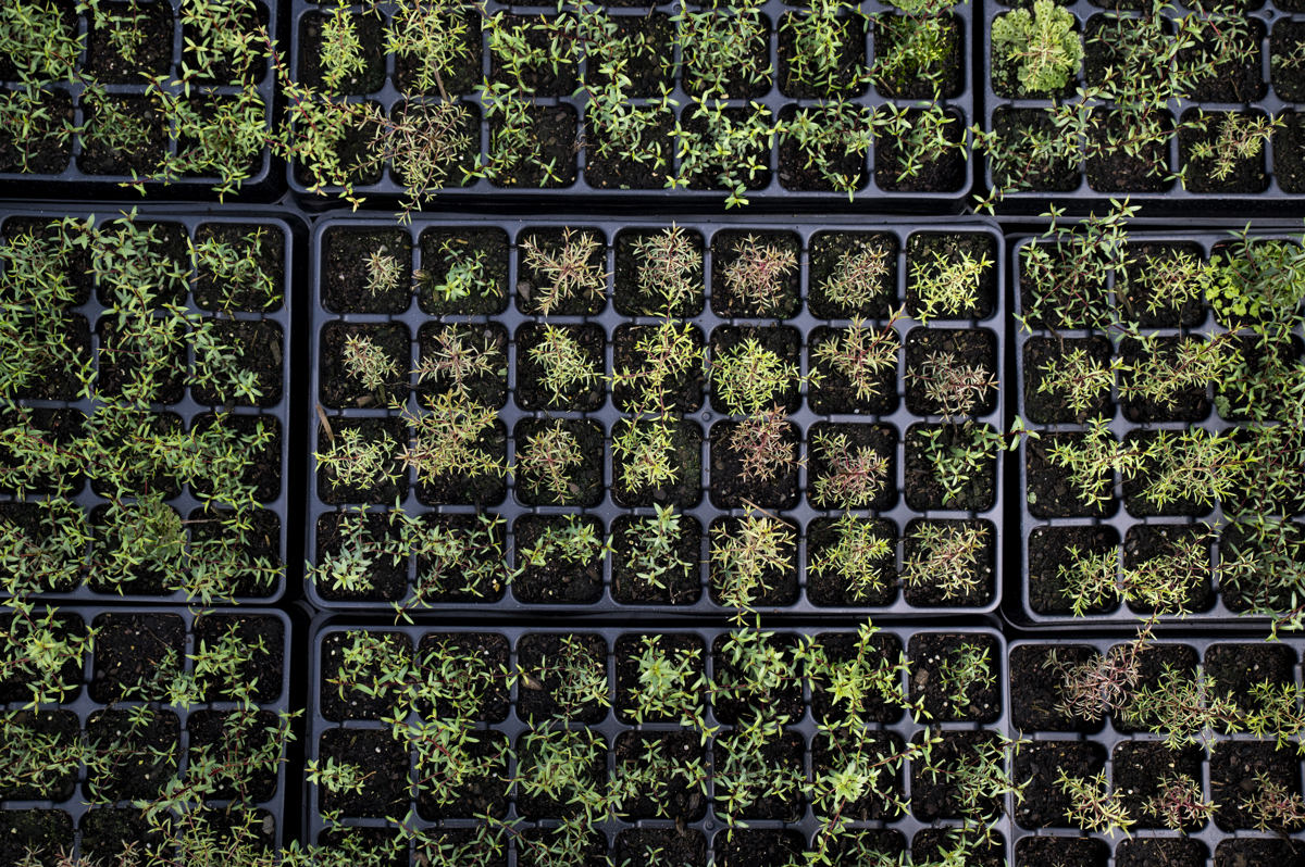 2023 10 10 Invercargill 6628 (1) (1)