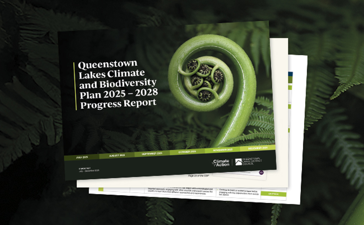 Qldc Climate Website Page Image Update 660 X 408 Feb26