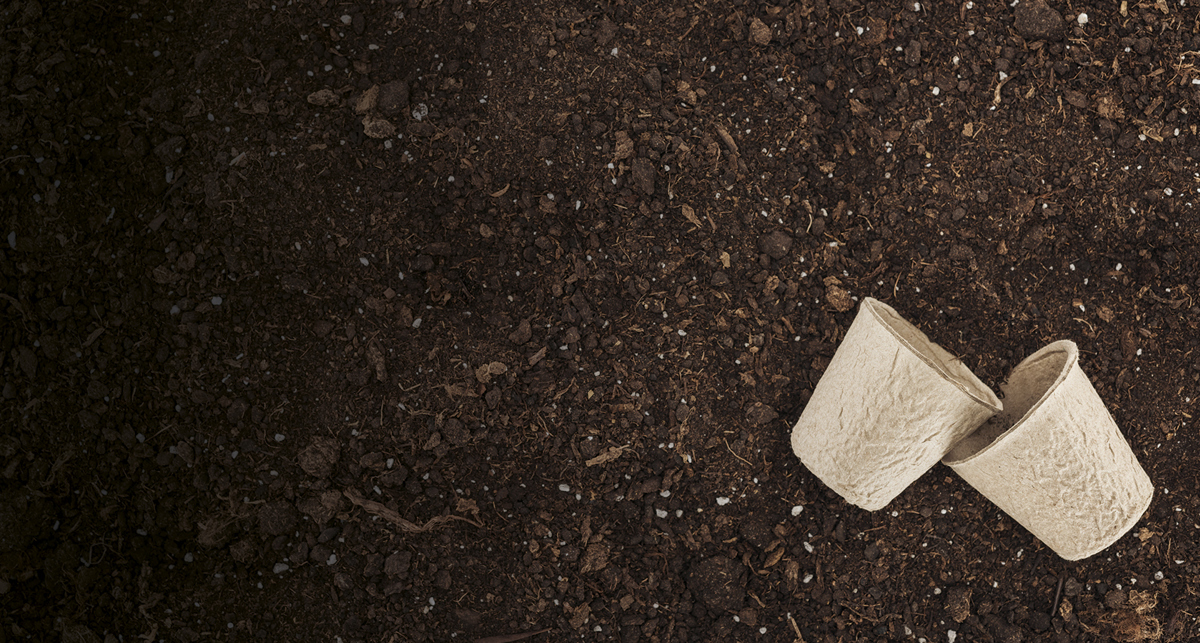 Climate Web Page Hero Soil (1)