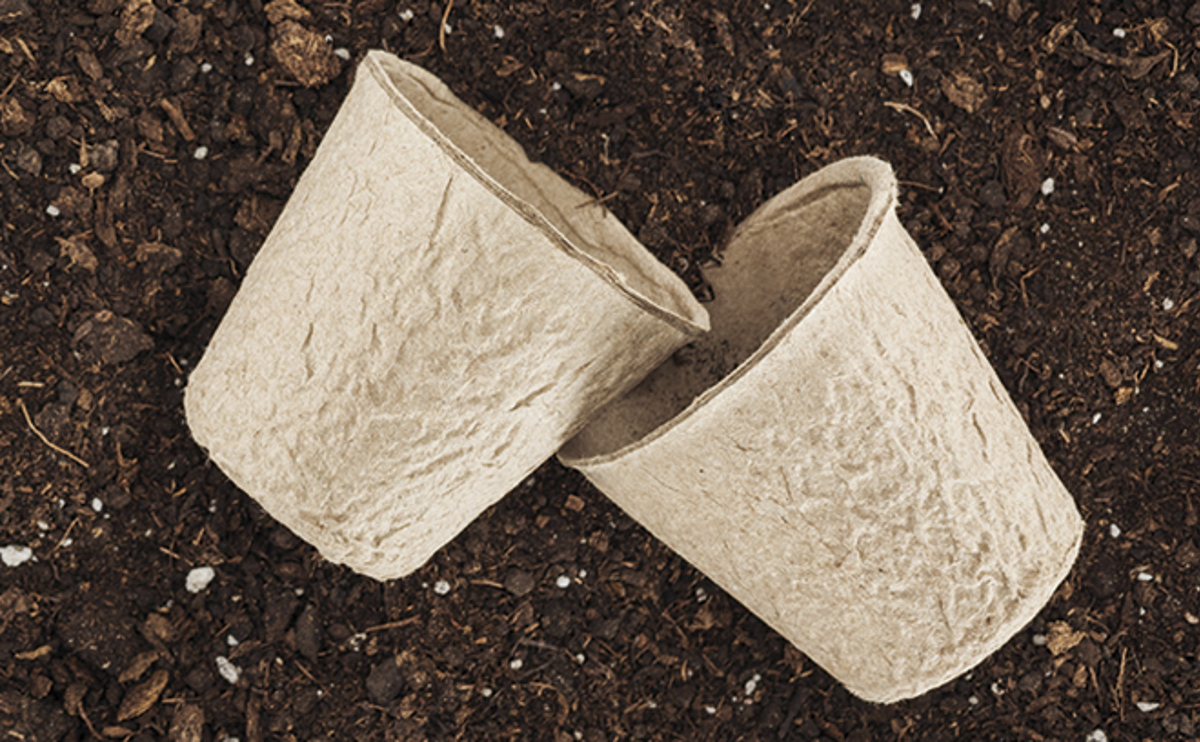 Qldc Climate Website Page Image Update 660 X 408 Feb26 2