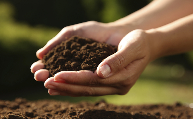QLDC Climate Website Page Image Update 660 X 408 Sep26 GARDENING