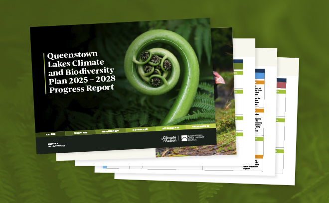 QLDC Climate Website Page Image Update 660 X 408 Sep26 PROGRESS REPORT (1)