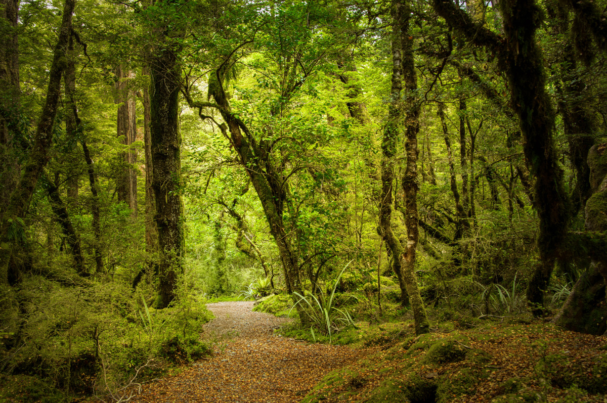 Adobestock 1541518872 EDIT Edited