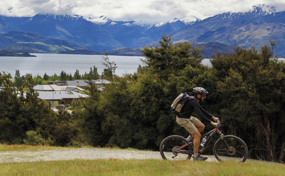 Qldc Climate Website Page Image Update 660 X 408 Feb26 4