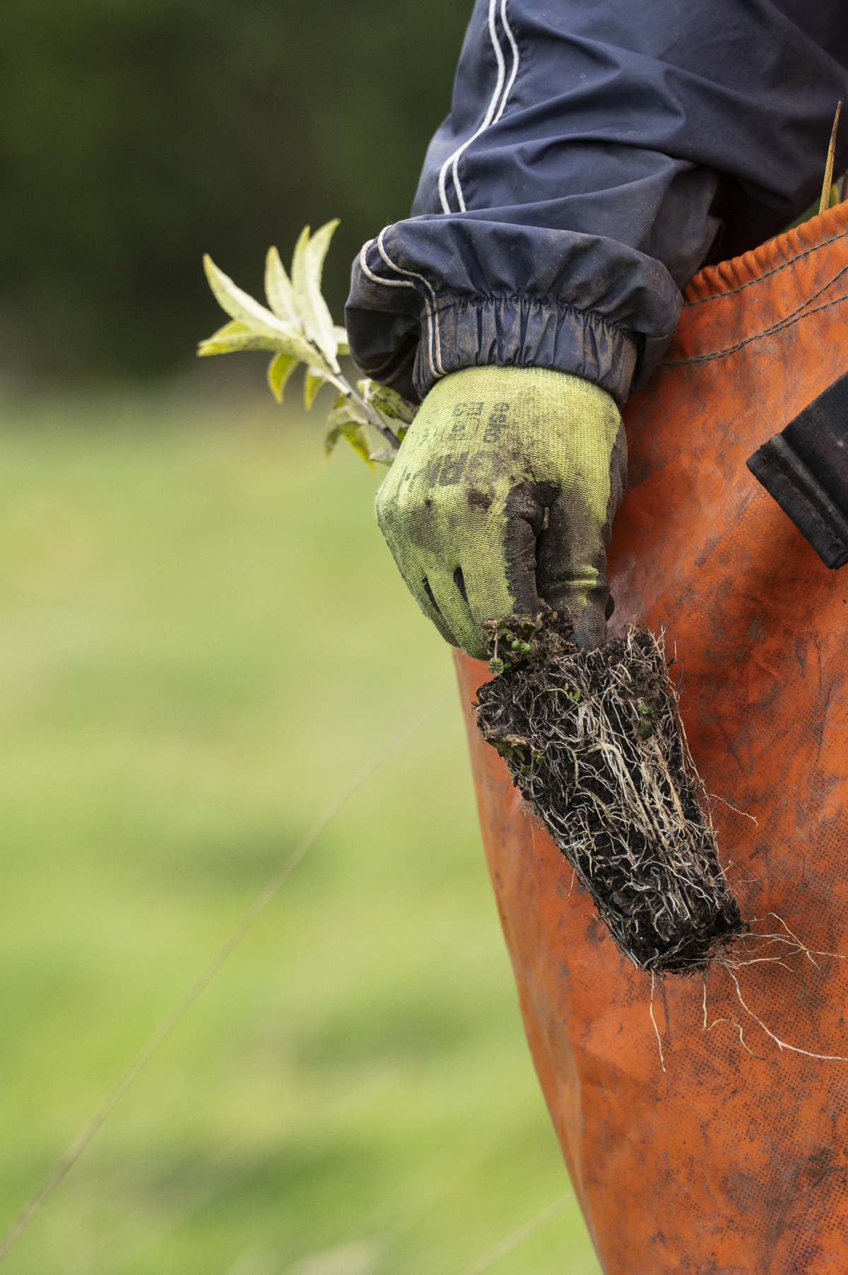 2023 10 10 Invercargill 5758 (2) (1)